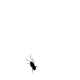 xfourmi.gif