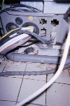 souris